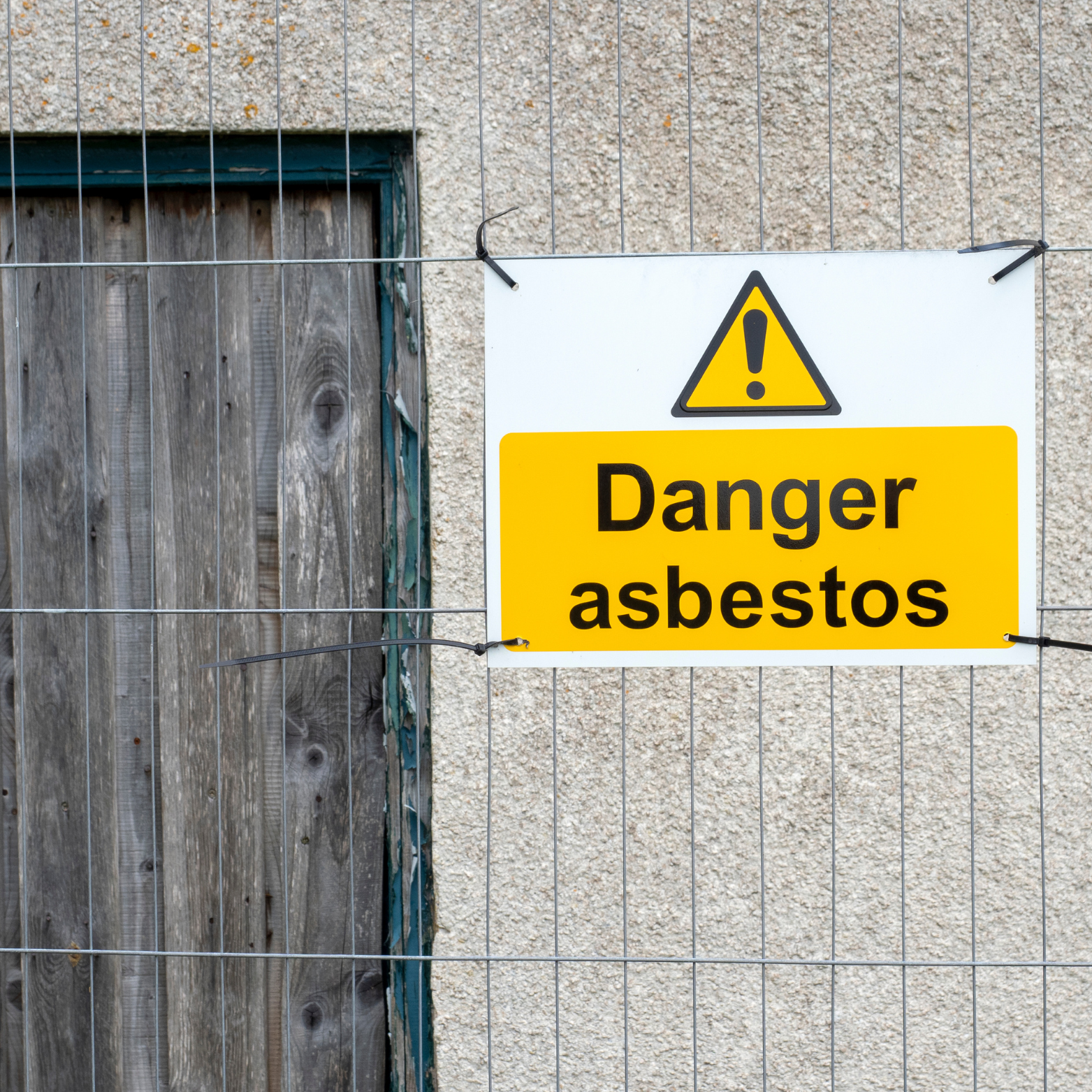 The Long Read: History, Risks, and Management